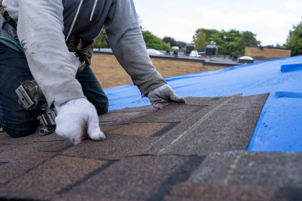 Best Metal Roofing Contractor  in Cutten, CA