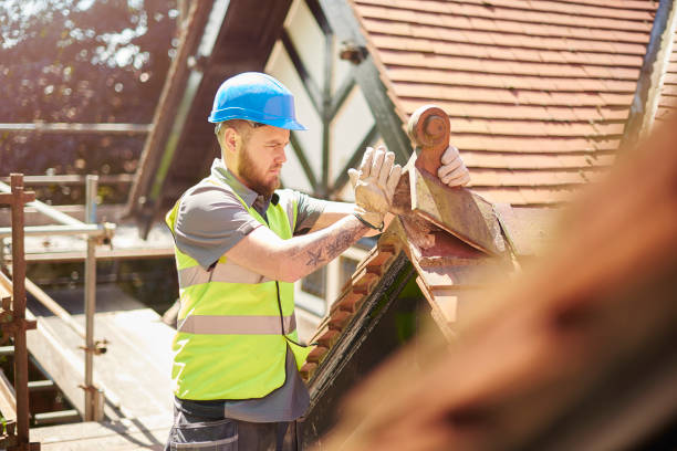 Best Residential Roofing Contractor  in Cutten, CA