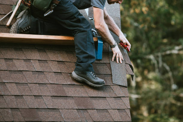 Best Roof Repair Services  in Cutten, CA